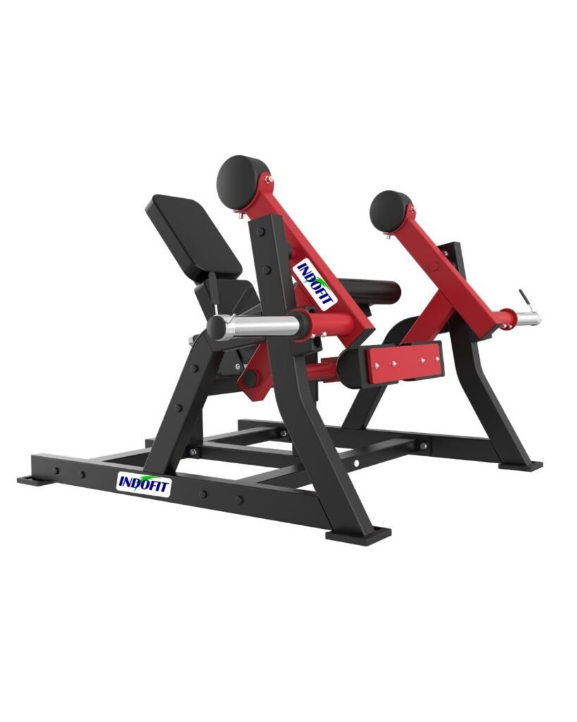 Seated Leg Extension